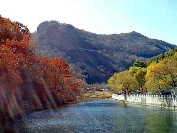 正版澳门天天开彩大全，武山seo论坛